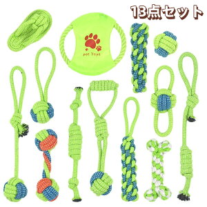 y2025NVz ނ 13_Zbg p[v  pߋ ybgp 邨 S {[ Rbg XgXU ^s  v ϋv  