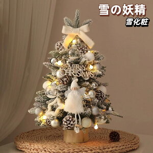 y2025VzNX}Xc[  k 45cm 60cm LEDCgt ቻ  gȒP dr ~jc[  NX}X LL ͋CX Mtg    v[