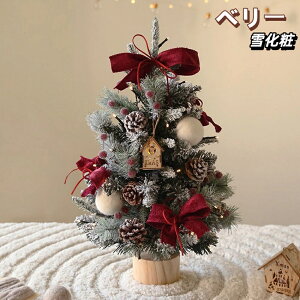 y2025VzNX}Xc[  k 45cm 60cm LEDCgt ቻ  gȒP dr ~jc[  NX}X LL ͋CX Mtg    v[