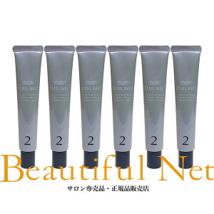  Tu~bN T\[V CeVuN[ 30g×6ySHISEIDOzTg[gg vp AfmoC^ GCWOPA p