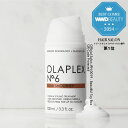 3,980円以上で送料無料【正規販売店】オラプレックス No.6 ボンドスムーサー 100ml 母の日 卒業 誕生日 プレゼント ギフト 引越し祝い 入学祝い