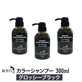 【正規品】【3個セット】 ROYD 【 ロイド 】 カラーシャンプー グロッシーブラック 300ml 美容室 美容院 サロン専売 シャンプー ヘアケア 母の日 卒業 誕生日 プレゼント ギフト 引越し祝い 入学祝い