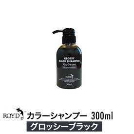 【正規品】ROYD 【 ロイド 】 カラーシャンプー グロッシーブラック 300ml 美容室 美容院 サロン専売 シャンプー ヘアケア 母の日 卒業 誕生日 プレゼント ギフト 引越し祝い 入学祝い