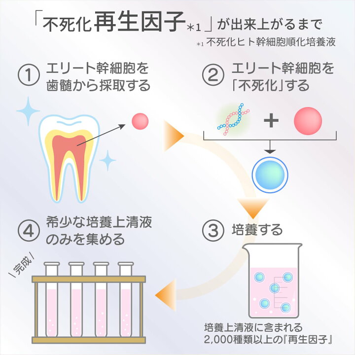 楽天市場】【正規販売認証店】ダーウィン リジェニティ FKクリーム  