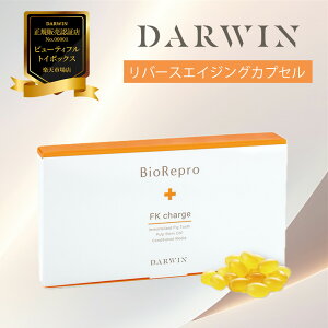 yK̔FؓXz_[EB oCIv FK`[W s זE Tvg  30 GN\\[ Oe E