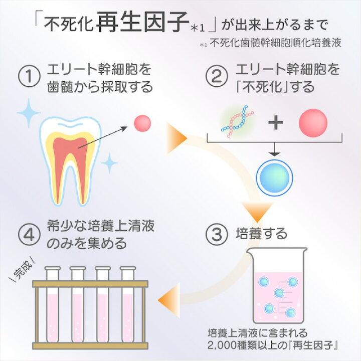楽天市場】【正規販売認証店】ダーウィン バイオリプロ FKチャージ 