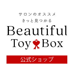 Beautiful Toy Box