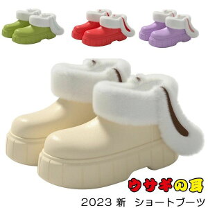 2023 V fB[X V[gu[c Xm[u[c Xb| C JC ₷  ETM̎  t  lp N ~p hC fB[XV[Y