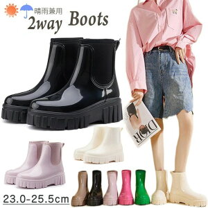 Cu[c  C V[gu[c TChSA CV[Y h fB[X u[c y ₷ ɂ  h ʋ ʊw  Gi IV Jp ig