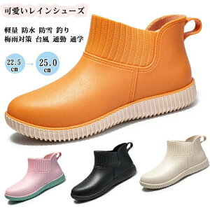 CV[Y fB[X  Cu[c ~J J V[g u[c h h y h R hL ₷ Jp IV Cu[c K[fjO ~[C h ނ 