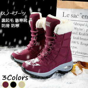 Xm[u[c fB[X y N hC h h RtH[gV[Y  p V[g u[c ~p ʊw ʋ