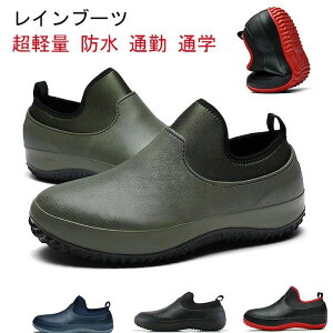 Cu[c CV[Y JWA V[g fB[X rWlX 䕗΍ y h ʋ ʊw V[g ނ Ԍ JC ~ ԃV[Y JC AEghA h ~J ~J