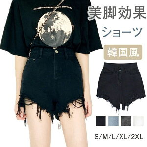 fB[X fj V[gpc  W[Y Y{ ZNV[ zbgpc Zp 傫 fjpc l   V[g w  t   r 傫TCY 