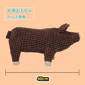 p   ̏o邨 m[Y[N  E f^PA ybg ybgʂ ӂӂ ^s V ϋv XgXU 