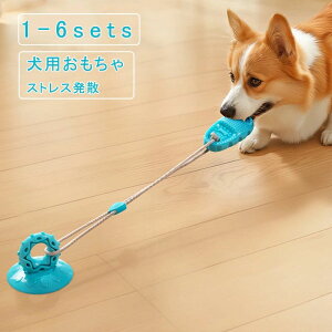 2_Zbg [v   E f^PA Xbp [vgC z ybg p ^s V ϋv Ȃ XgXU 