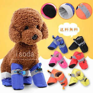  C EȂ 4Zbg hbOEFA pC ybgp ̌C C ybg V[Y ~ h u[c U o  ی ی ^ ^ ^ ē~pC  