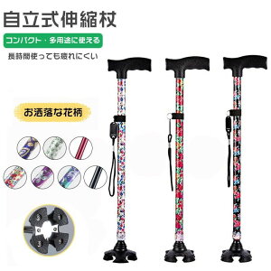      l_ y Lk  a v[g fB[X p  Mtg XebL lC   Lk^ ~ RpNg ԕ ܂ݕs