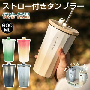 Xg[t^u[ Xg[ ^u[ ڂȂ v[g ʋ 킢 ^ ^fM 3DXebJ[ z_[t  ^u[  ^d\ ۉ ۗ IȂ