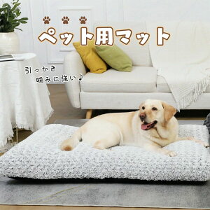 ybgxbh }bg g  ӂӂ ybgpxbh }bg NbVzc  ybg L t[X uPbgH~h 薰 K \ _炩ybg}bg 