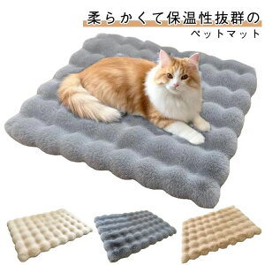 QSnǂ ybgNbV  Lp ybgxbh  ӂӂ ybg}bg 킢 ybg}bg 􂦂 H~ Lxbh G芴ǂ 킢 ^ ^ ^ 