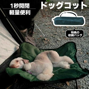 hbORbg Lv ybgxbh ܂ 1bJ  O Lp H~ őω׏d60kg y ^т₷ Lv nʂ痣 o hCu 􂦂 IbNXtH[