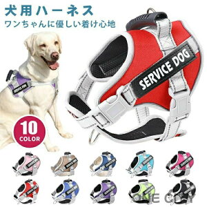 yz  n[lX O   ^ ^ ^ ȒP nht  Ȃ EȂ ybgpn[lX l[ _炩 ʋC ybg U  ybg