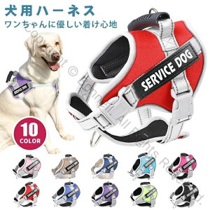  n[lX O   ^ ^ ^Ή ȒP nht  Ȃ EȂ ybgp _炩 ʋC Up n[lX