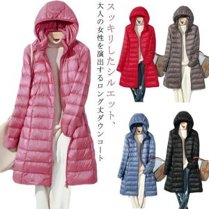 h H~  y X O_ER[g Ci[R[g  X^hJ[ 40 fB[X Cg_E O