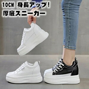 V[NbgV[Y fB[X 10cm gAbv C fB[X Xj[J[ C V[Y EH[LOV[Y _bhXj[J[ fB[XV[Y tďH~ ۉ ʋC w