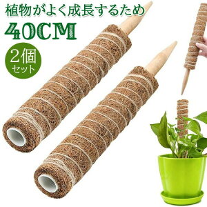 2Zbg | x 40cm  Ax K[f  Ԃ A  ؐ RRibc x K[fjOpx ϗtx oRA \  ϋv Ԏgp g₷