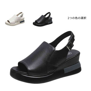 T_  T_ fB[X t  ItBXT_ Ȃ ₷ E₷ ₷ _炩 T}[u[c V[Y C ~ RtH[g s  o