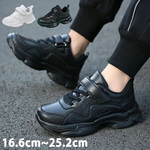 qbvzbv _XV[Y LbY _X bV [Jbg L b ؍ K-POP C q `A_X l _XC Ȃ `AV[Y y V[Y fB[X e[v^ zC