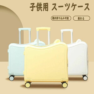 qp X[cP[X  @ qL[P[X _CbN _uLX^[ŐÉ o| Cws v[g 43L 44*23*47CM CgO[  y