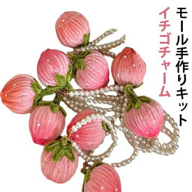 苺 手芸モール 手作りキット バッグチャーム 材料セット キーホルダー モールアート いちご モフモフ イチゴ ハンドメイド いちご DIY ぬいぐるみ アクセサリーパーツ プレゼント ギフト 子供 女の子 学校
