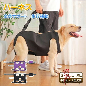 SgT|[g  n[lX s ⏕ ^ ^ K Ȃ  V aC p s⏕n[lX n[lX ߂łoh IV  EȂ Ȃ ⏕ ^ U