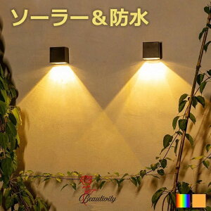 K[fCg EI[Cg \[[Cg Op Ǌ| h FREESIA dF 邢 Px \[[ LED ZT[ _ ÃZT[  Ɩ O  뉀 \[[[d z