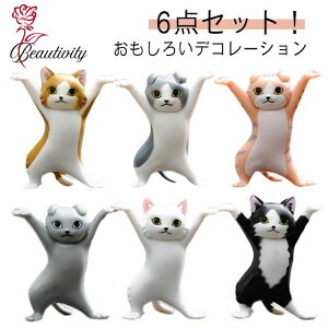 _XLObY 6_ZbgIlR yz_[ ؂񂨂 f wbhtHz_[ L̃y 킢   ObY L̒u