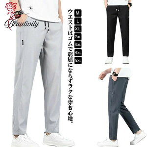 ACXVNpc fB[X z J[Spc Y  pc 傫TCY Xgb`  Opc TG  Y{ JWApc n y  X|