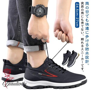 h Xj[J[ Y hJ  y Jp jp hV[Y  䕗 ʋ ʊw EH[LOV[Y i JWAV[Y ^C WMO  t  H ~ 24.5`2