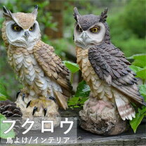 楽天市場】フクロウポストの通販