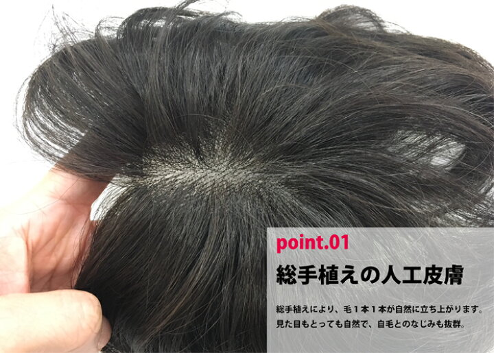 楽天市場】【送料無料】男性用 ウィッグ フルウィッグ かつら 