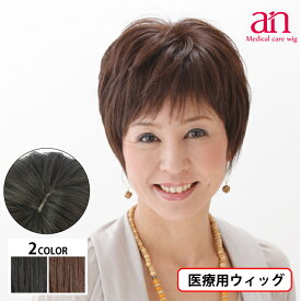 【送料無料】医療用 ウィッグ ショート 女性 男性 人毛100％ 人毛MIX 医療用かつら ナチュラルブラック ダークブラウン 黒髪 茶髪 高品質 伸縮性 サイズ調整可能 JIS規格適合 軽量 軽い 通気性 フルウィッグ ミセス ミセス an NO.1　wig-st-23-1