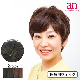 【送料無料】医療用 ウィッグ ショート 女性 男性 人毛100％ 人毛MIX 医療用かつら ナチュラルブラック ダークブラウン 黒髪 茶髪 高品質 伸縮性 サイズ調整可能 JIS規格適合 軽量 軽い 通気性 フルウィッグ ミセス ミセス an NO.3　wig-st-25-1