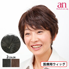 【送料無料】医療用 ウィッグ ショート 人毛 MIX 女性 男性 人毛100％ 人毛MIX 医療用かつら ナチュラルブラック ダークブラウン 黒髪 茶髪 高品質 伸縮性 サイズ調整可能 JIS規格適合 軽量 軽い 通気性 フルウィッグ ミセス ミセス an NO.28　wig-st-45-1