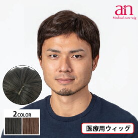 【送料無料・宅配便】医療用 ウィッグ 男性用 高品質 低価格 軽量 軽い 通気性 おしゃれ 自然 サイズ調整可能 JIS規格適合 ナチュラルブラック ダークブラウン 黒髪 茶髪 伸縮性 人毛MIX メンズ フルウィッグ かつら NO5 ビジネス an wig-st-51
