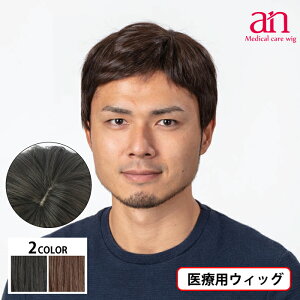 【送料無料・宅配便】医療用 ウィッグ 男性用 高品質 低価格 軽量 軽い 通気性 おしゃれ 自然 サイズ調整可能 JIS規格適合 ナチュラルブラック ダークブラウン 黒髪 茶髪 伸縮性 人毛MIX メン