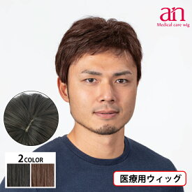 【送料無料】男性用 ウィッグ フルウィッグ かつら ストレート 人工皮膚 手植え 軽量 自然 通気性 男性 ショート おしゃれ ナチュラルブラック ダークブラウン 黒髪 茶髪 高品質 伸縮性 サイズ調整可能 JIS規格適合 フルウィッグ an メンズNO1 wig-st-58