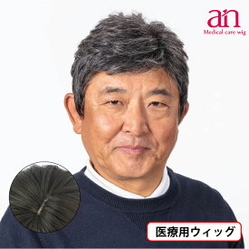 【送料無料】医療用 ウィッグ 白髪ショート グレーヘアー 人毛MIX 男性用 おしゃれ 自然 医療用 かつら 伸縮性 軽量 軽い 通気性 サイズ調整可能 JIS規格適合 フルウィッグ ビジネス メンズ an men NO4 wig-st-61