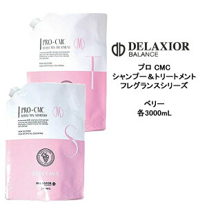 y55~N[|tzyzfNVI vCMC x[~bNX Vv[@3000mlg[gg@3000ml Ɩp tOXV[Y mVR T cw DELAXIOR