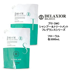 y55~N[|tzyzfNVI vCMC t[~bNX Vv[ 3000ml g[gg@3000ml Ɩp tOXV[Y mVR T cw DELAXIOR